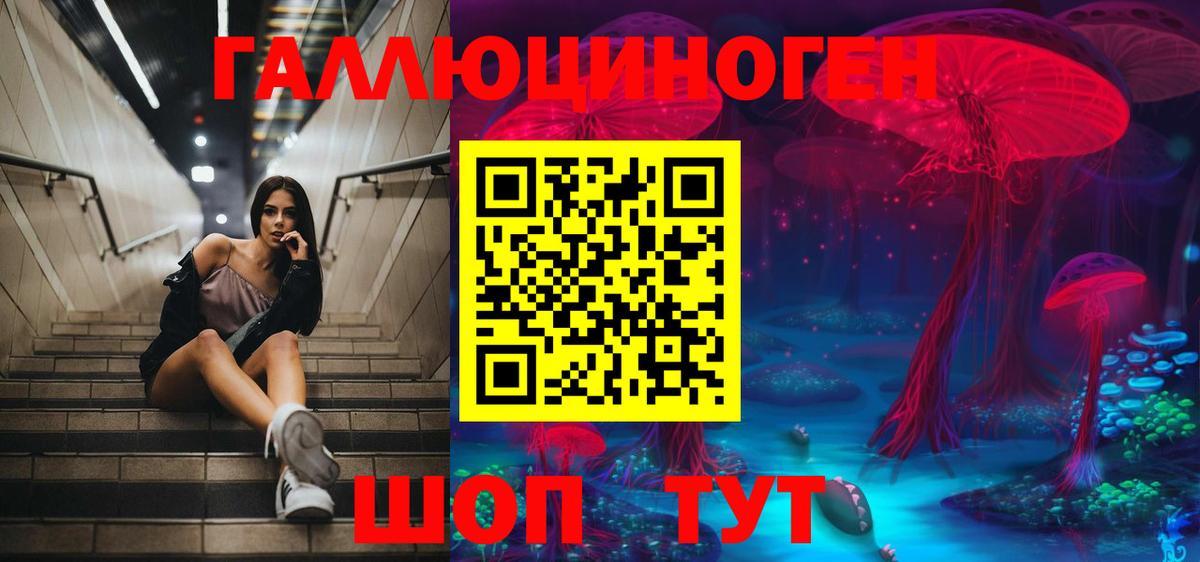 Псилоцибиновые грибы Psilocybe  Вход с VPN  Смоленск 